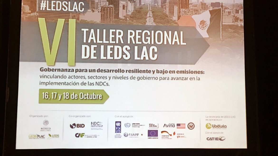 SinergiAr participó del VI Taller Regional de la Plataforma LEDS LAC: Algunas consideraciones