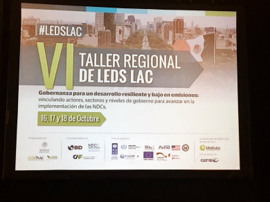 SinergiAr participó del VI Taller Regional de la Plataforma LEDS LAC: Algunas consideraciones