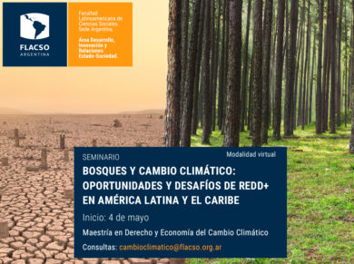 Abierta la inscripción al curso virtual «Bosques y Cambio Climático», de FLACSO Argentina