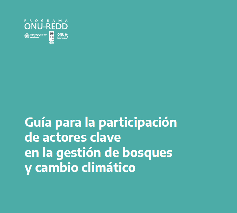 Se publicó la «Guía para la participación de actores clave en la gestión de bosques y cambio climático» de la Argentina